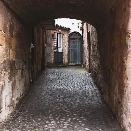 公寓 Arco Etrusco 奥维多